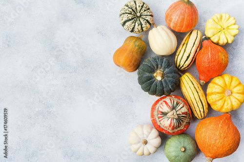 Top view of different varieties of pumpkins and gourds on the off white grey stone background, copy space for text, selective focus