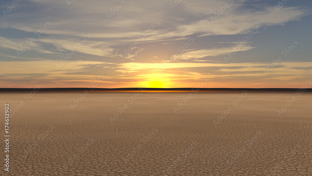 Fototapeta premium 砂漠