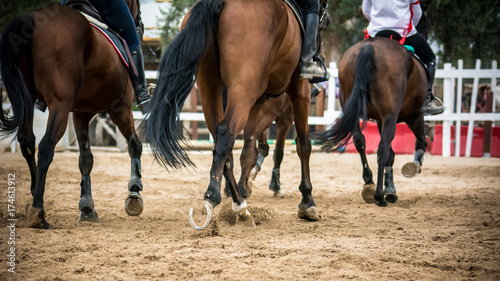 group of riders riding trotting horses