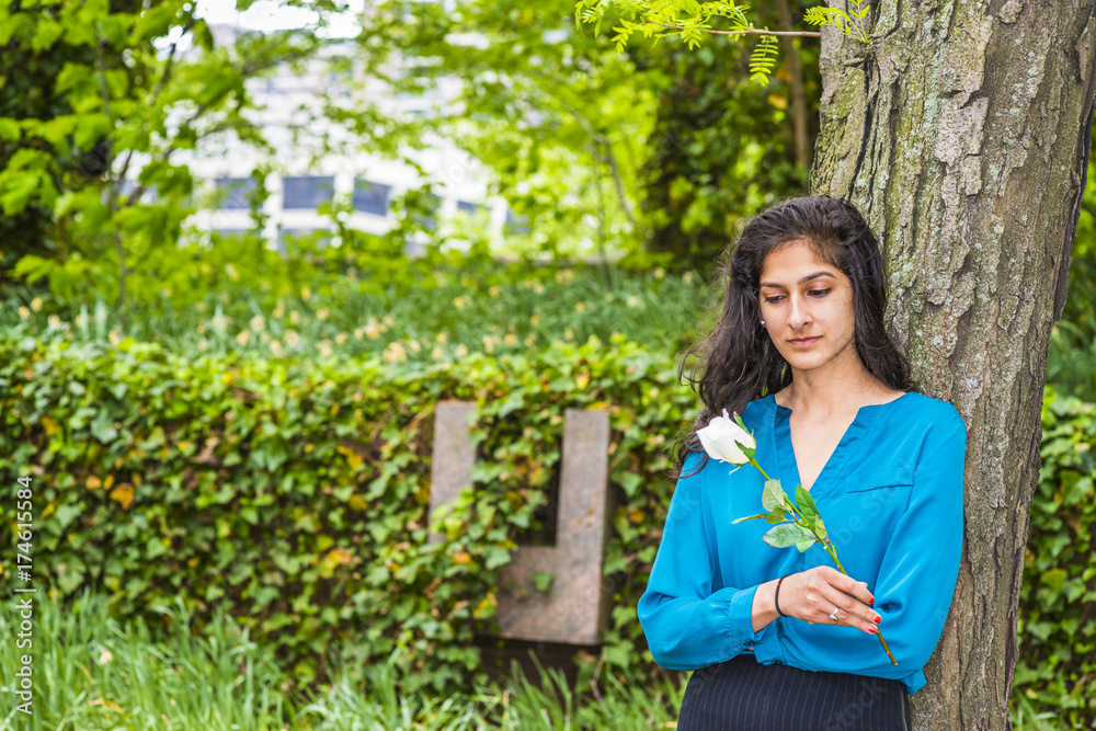 Wearing long sleeve blue shirt, holding white rose, a young East Indian American college student standing by tree in spring day, looking down, thinking about you. A love, passion, romantic girlfriend. Wearing long sleeve blue shirt, holding white rose, a young East Indian American college student standing by tree in spring day, looking down, thinking about you. A love, passion, romantic girlfriend.