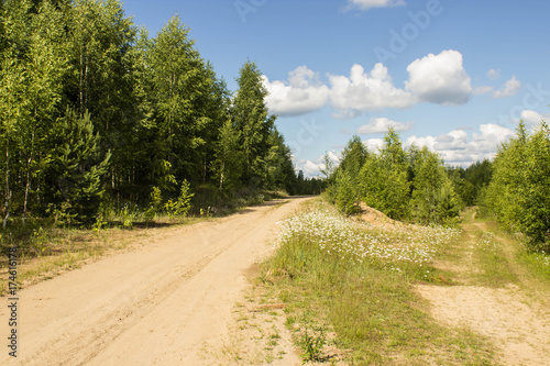 Sandy road in the forest area © marishayu