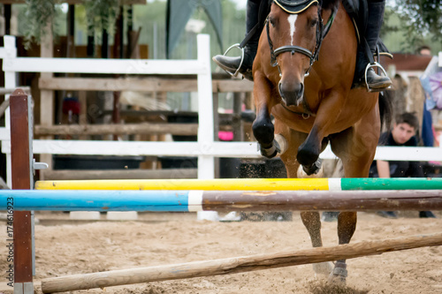 horse jumping obstacles during equestrian school training