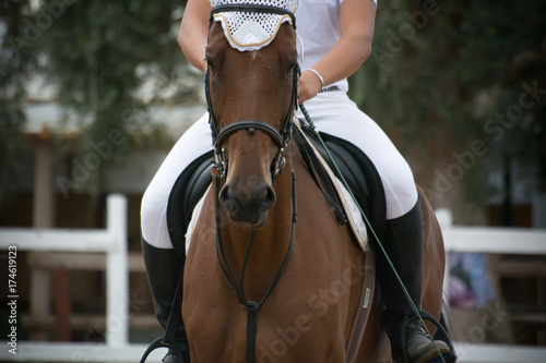 rider riding a horse standing by before a competition