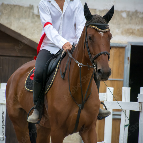 Fototapeta Naklejka Na Ścianę i Meble -  rider riding a horse