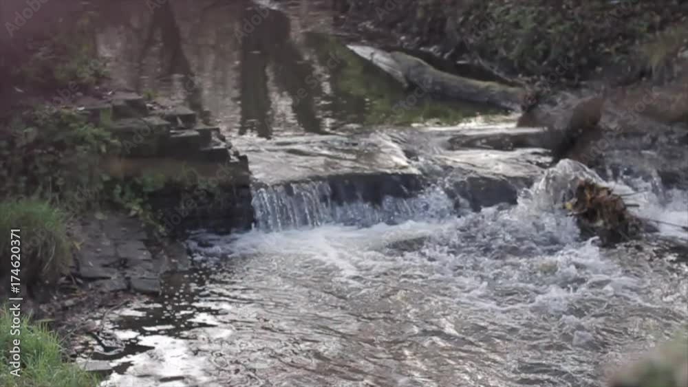 Focus pull from a branch to a weir Focus pull from a branch to a weir