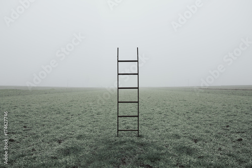 Ladders on the field