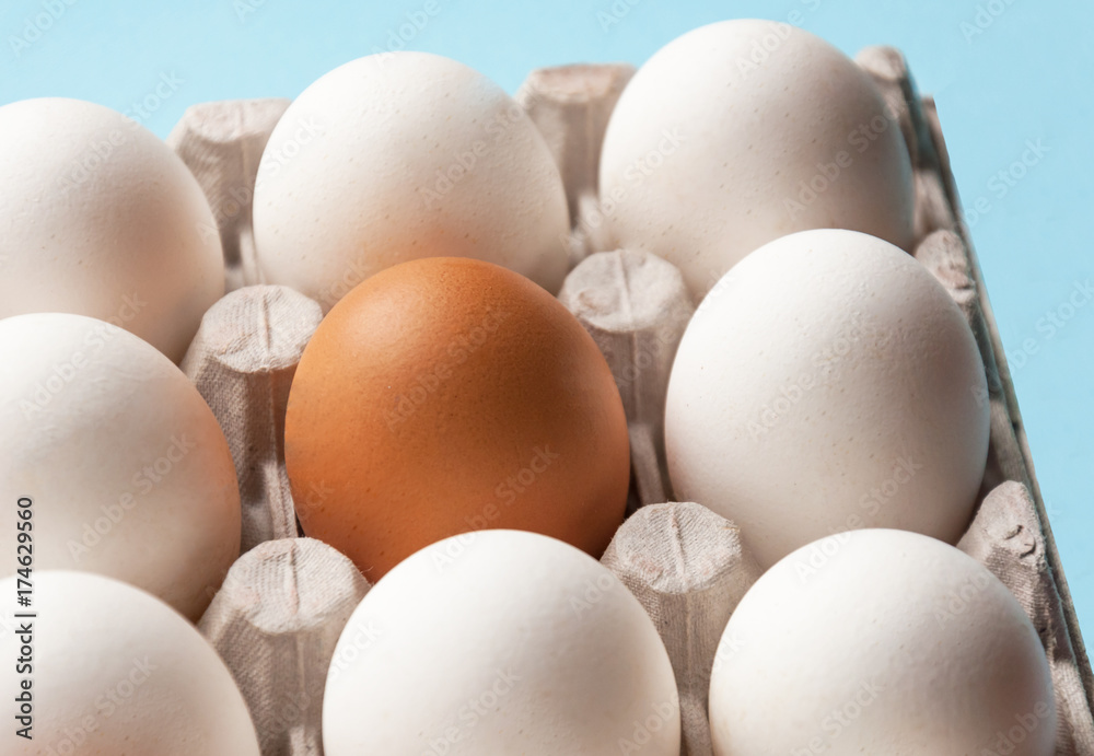 A cardboard box with chicken eggs is brown and white. Distinctive feature. Differences. A cardboard box with chicken eggs is brown and white. Distinctive feature. Differences.