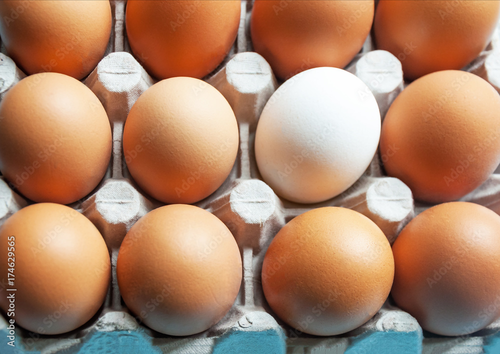 A cardboard box with chicken eggs is brown and white. Distinctive feature. Differences. A cardboard box with chicken eggs is brown and white. Distinctive feature. Differences.