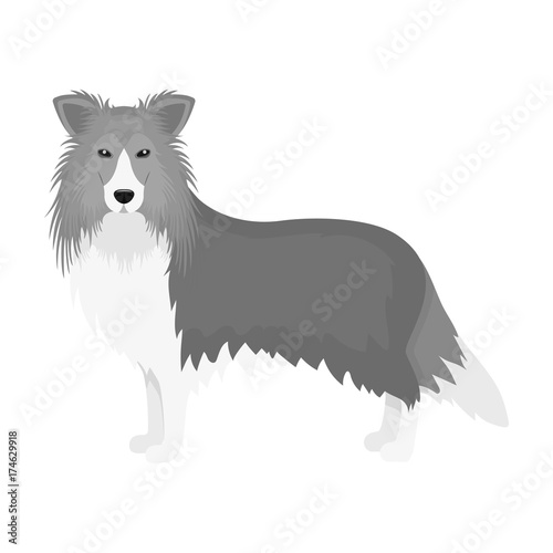 Laika single icon in monochrome style.Laika, vector symbol stock illustration web.