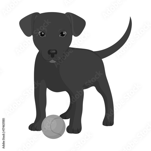 Pet, puppy dog with a ball. Pet,dog care single icon in monochromt style vector symbol stock illustration web. photo