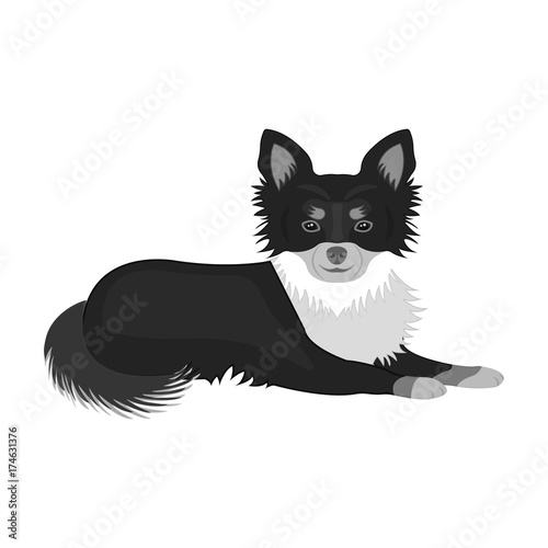 A pet, a lying dog. Pet ,dog care single icon in monochromt style vector symbol stock illustration web. photo