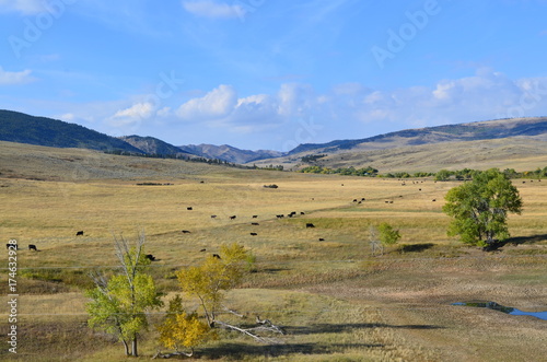 Fototapeta Naklejka Na Ścianę i Meble -  Casper Wy Landscape 4
