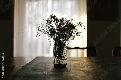 Flowers in a jar, contra light  photo