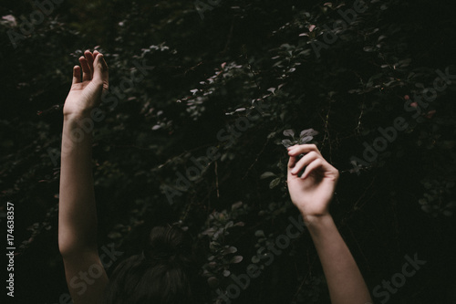 arms reaching up in front of a dark green bush