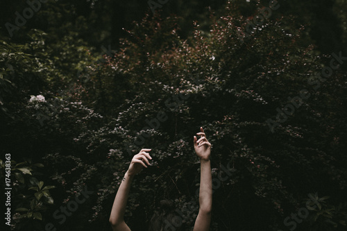 arms reaching up in front of a dark green bush