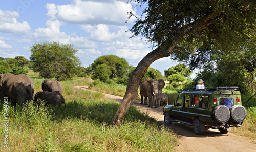 Photography Safari Vehicle & Elephants