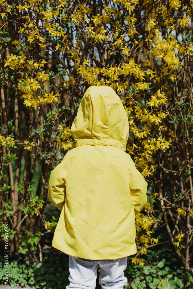 Rear view of child wearing a yellow jacket Rear view of child wearing a yellow jacket