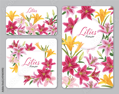 Fototapeta Naklejka Na Ścianę i Meble -  Colorful lilies flower on white background. Vector set of blooming floral for wedding invitations and greeting card design.