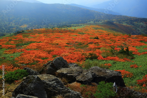 紅葉の三ツ石山 © yspbqh14