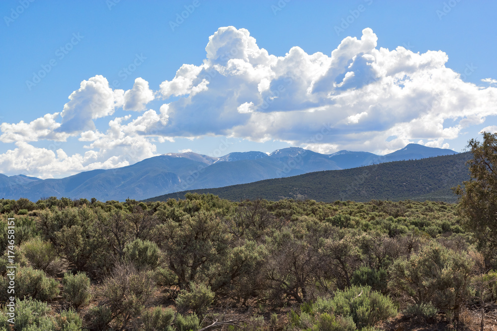 Fototapeta premium New Mexico View