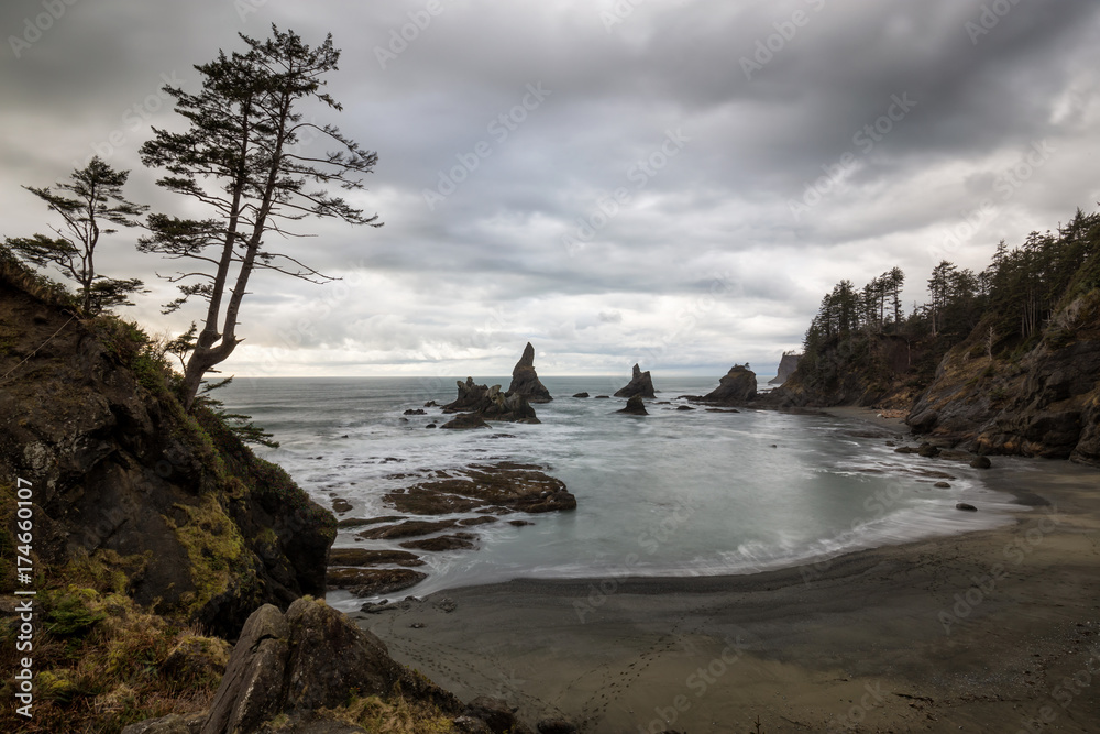 Landscape view of a rocky beach on the Pacific Ocean. Picture taken at Shi Shi Beach, Neah Bay, Washington, USA.