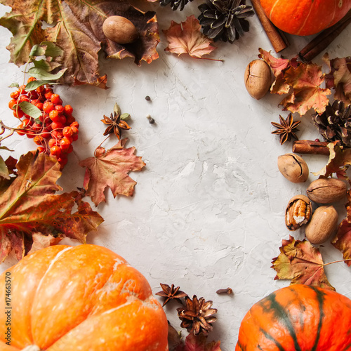 Autumn season background. Pumpkins, maple leaves and spices.
