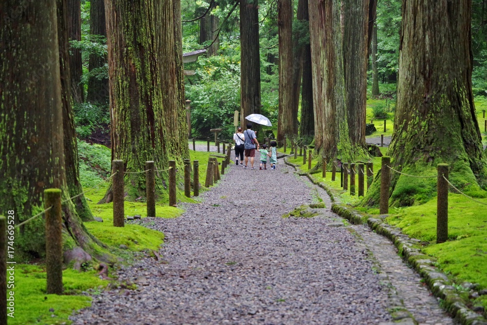 苔が美しい日本の神社 苔が美しい日本の神社