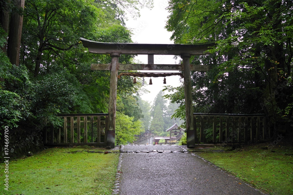 苔が美しい日本の神社