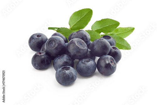 Blueberries with branch