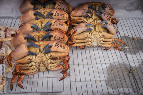 Shop storefront with many crabs