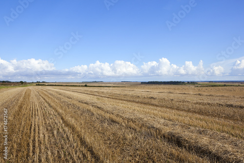 yorkshire wolds agriculture