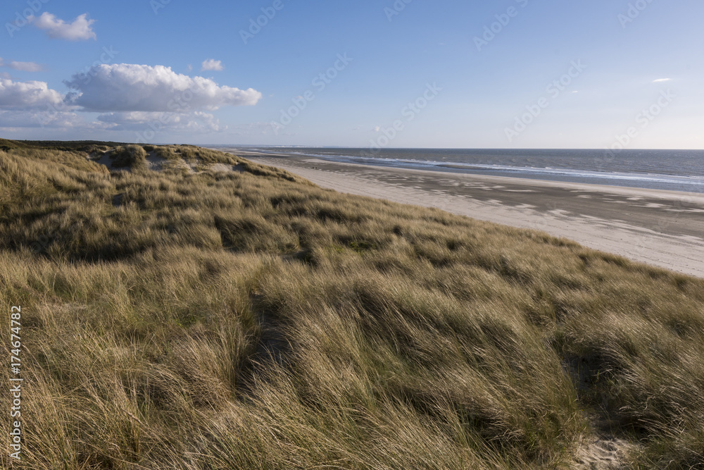 Les dunes du Marquenterre à Fort-Mahon.
