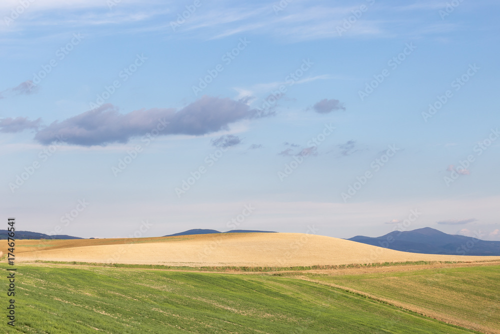 Cultivated green and yellow fields, with blue sky and mountains in the background
