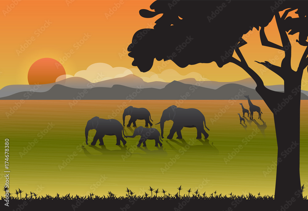 Obraz premium Elephants and Giraffe family in meadow. Nature background