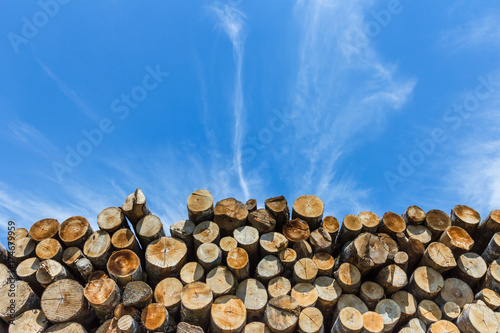 Timber stacked