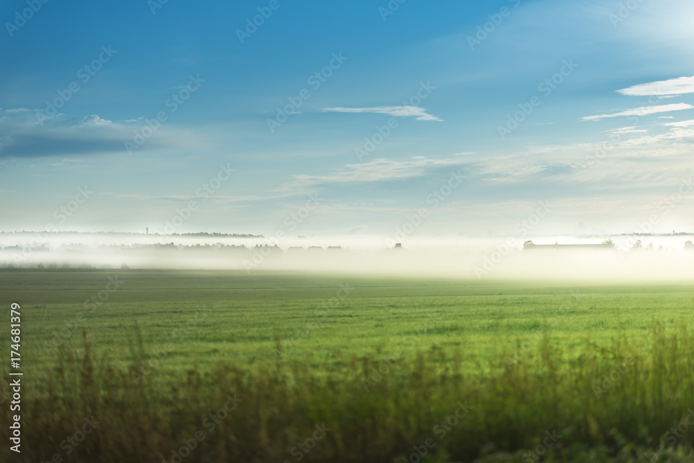 Late summer foggy morning at the green field. Blue sky with white small clouds Late summer foggy morning at the green field. Blue sky with white small clouds