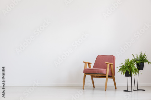 Pink armchair and ferns