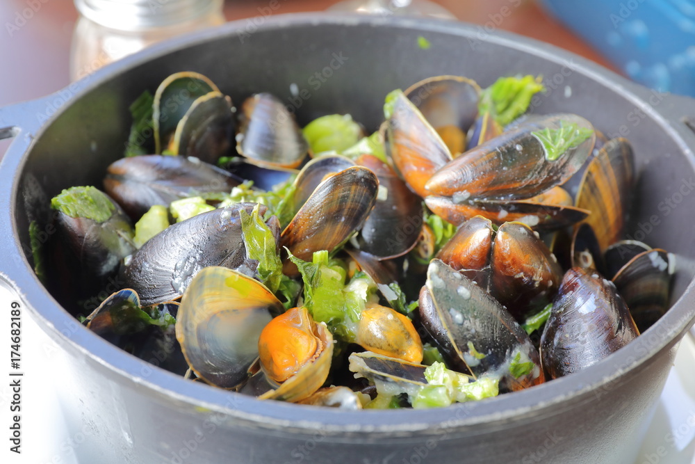 Fototapeta premium mussel