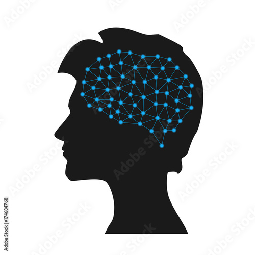 Neural connections in male brain