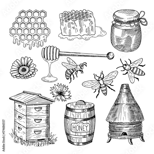 Honey, bee, honeycomb and other thematically hand drawn pictures. Vector vintage illustration