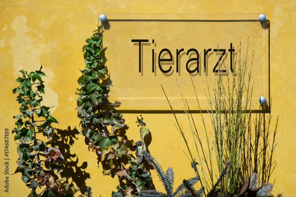 Obraz premium Schild 233 - Tierarzt