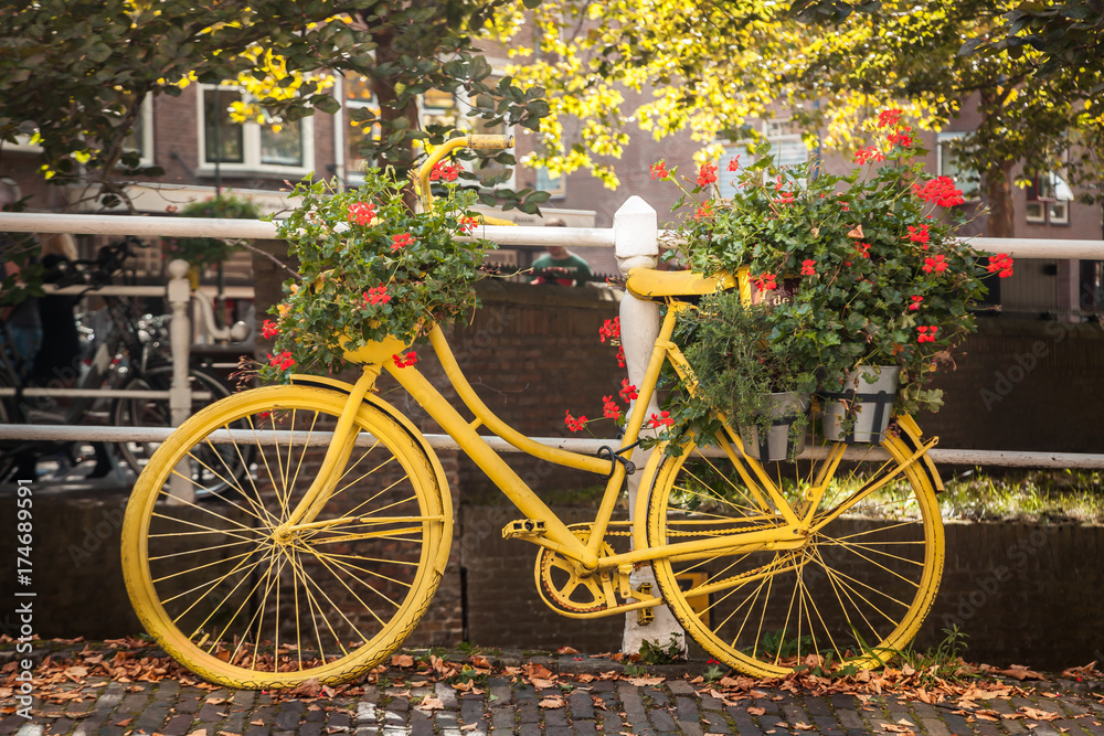 Dutch Autumn