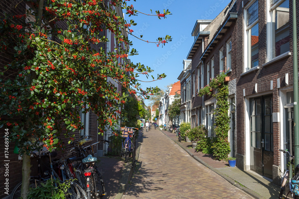 Typical Narrow Street in a Dutch city Delft