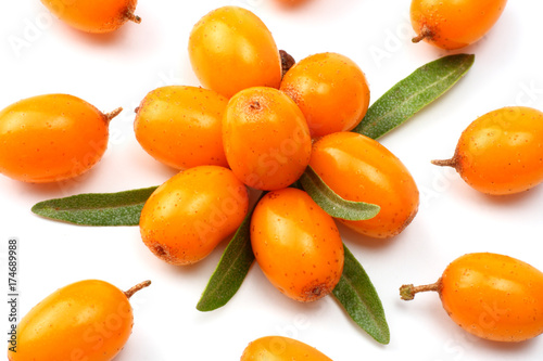 Sea buckthorn with green leaf isolated on white background