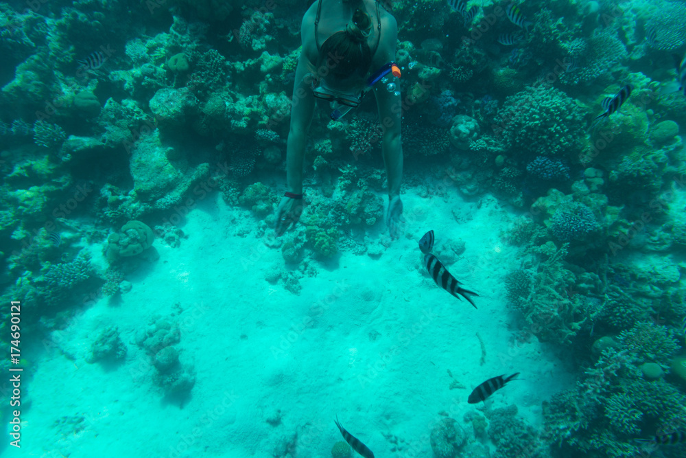 Fototapeta premium The girl floats under water on coral reefs