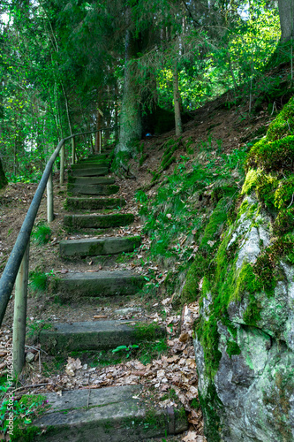 Treppe mit Gel  nder und Felsen im Bayerischen Wald