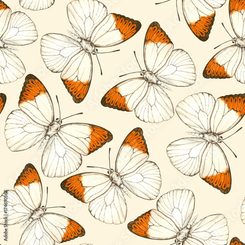 Watercolor seamless pattern made of Great orange tip butterflies.