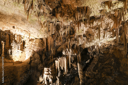 Fotografia Postojna cave, Slovenia