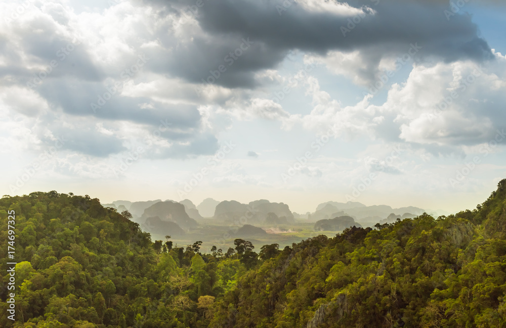rain forest in Thailand
