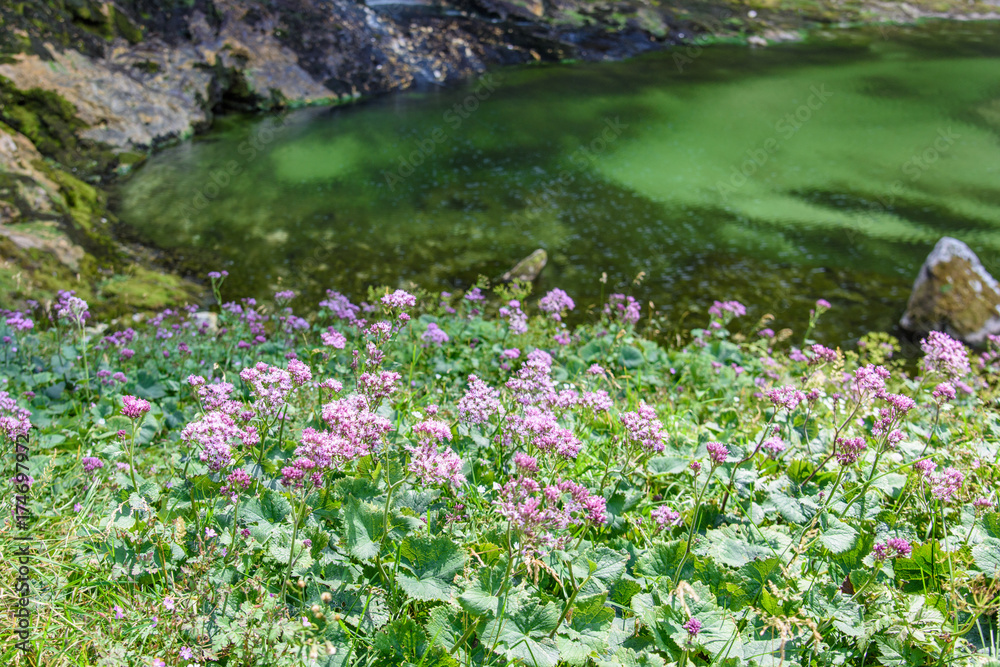 Fototapeta premium Dreamy waterfall and small emerald pond. Karst water. Fontanon of Goriuda. Friuli